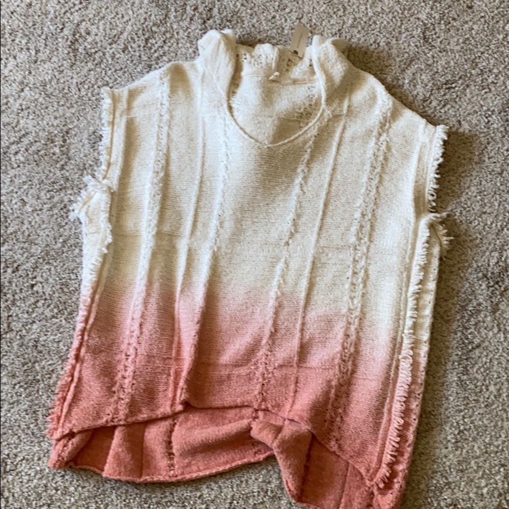 Anthropology Moth Ombré pullover sweater
